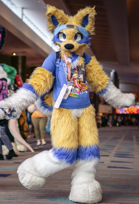 ame_suit
