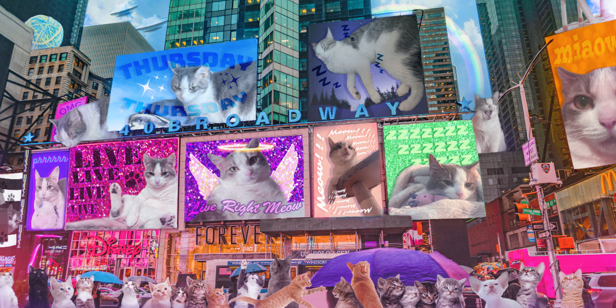 kitty_photoshop